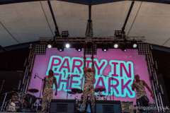 Raksu-Party-in-the-Park-31st-August-2019-109